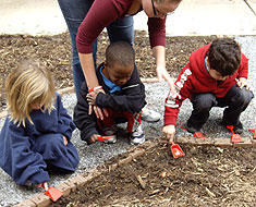 Kid seeding