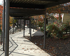 Image: Starting down the path of a new school year.