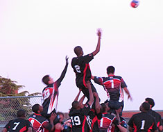 Image: 