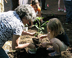 Image: Vicki and a student planting