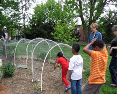 Image: In spring 2011, students planted sweet potato ivy to grow over a wire tunnel. It made a fun place to play, too.