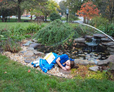 Image: Alice, curled up by the fish pond on the grounds the House One, dreams of Wonderland. (Photo: Susan Flanigan)