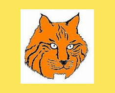 Image: Go KDES Wildcats