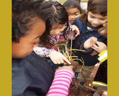 Image: KDES students look at earthworm on sweet potato vine recently pulled out of ground at the House One garden. (Photo: KDES student photographer)