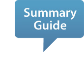 summary guide balloon image