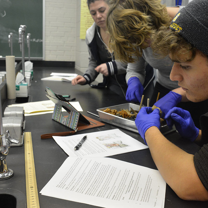 biologlab students filling out papers
