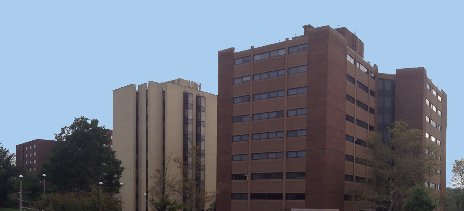 Panoramic View of Benson, Clerc, and Carlin